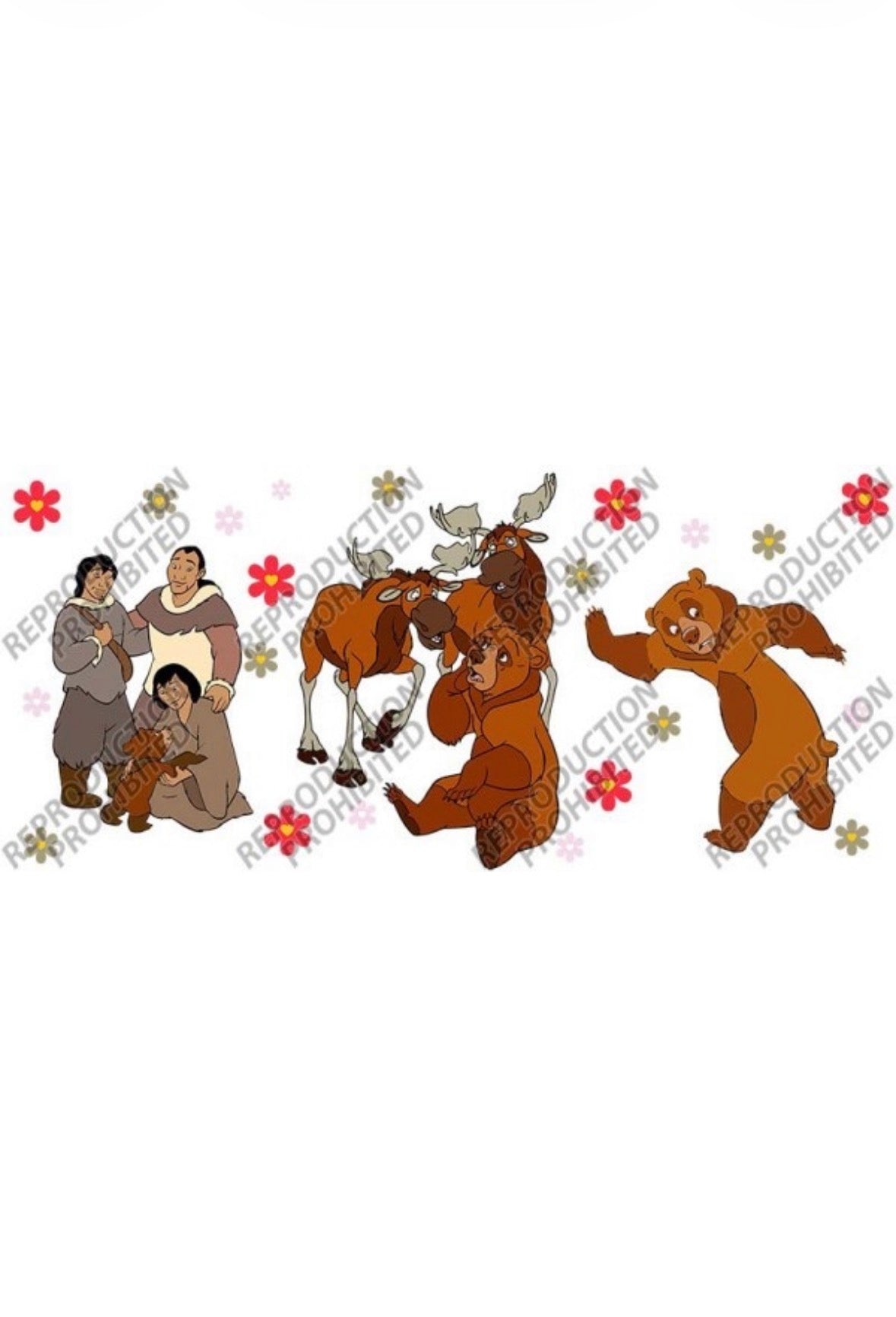 Frère des ours