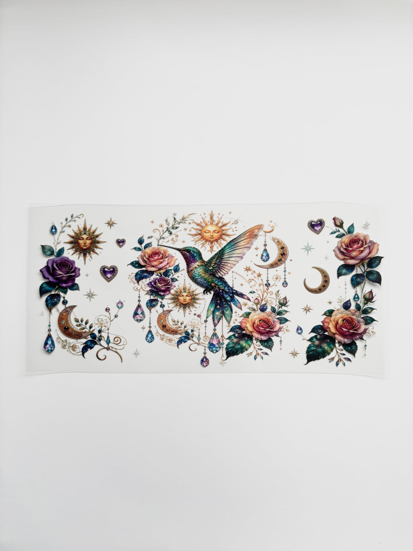 Oiseaux