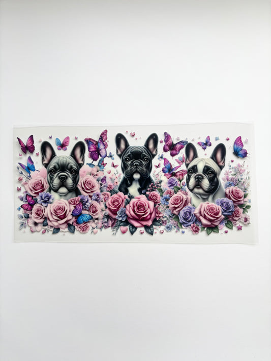 Chien